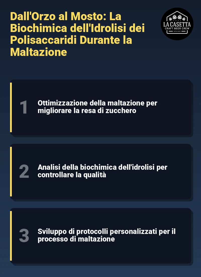 Infografica: Dall'Orzo al Mosto: La Biochimica dell'Idrolisi dei Polisaccaridi Durante la Maltazione
