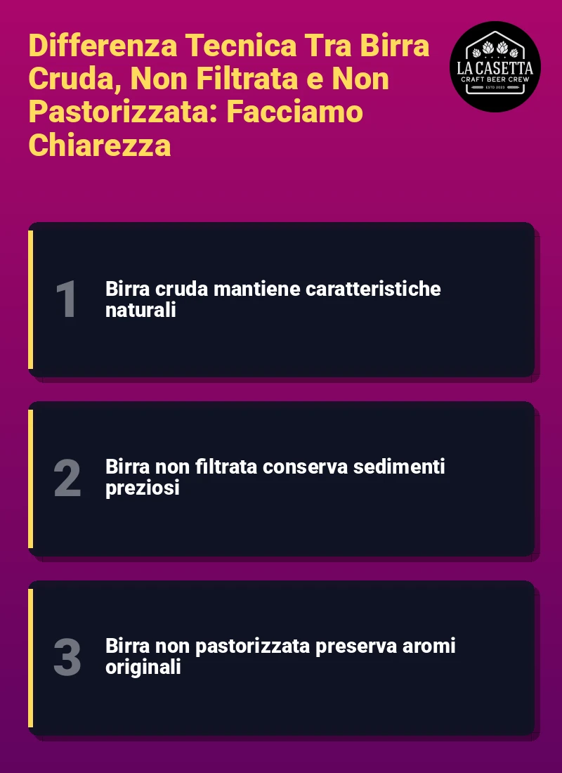 Infografica: Differenza Tecnica Tra Birra Cruda, Non Filtrata e Non Pastorizzata: Facciamo Chiarezza