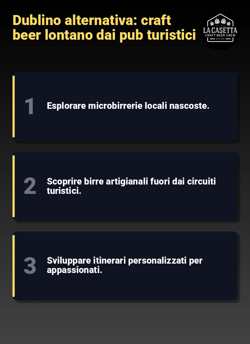 Infografica: Dublino alternativa: craft beer lontano dai pub turistici
