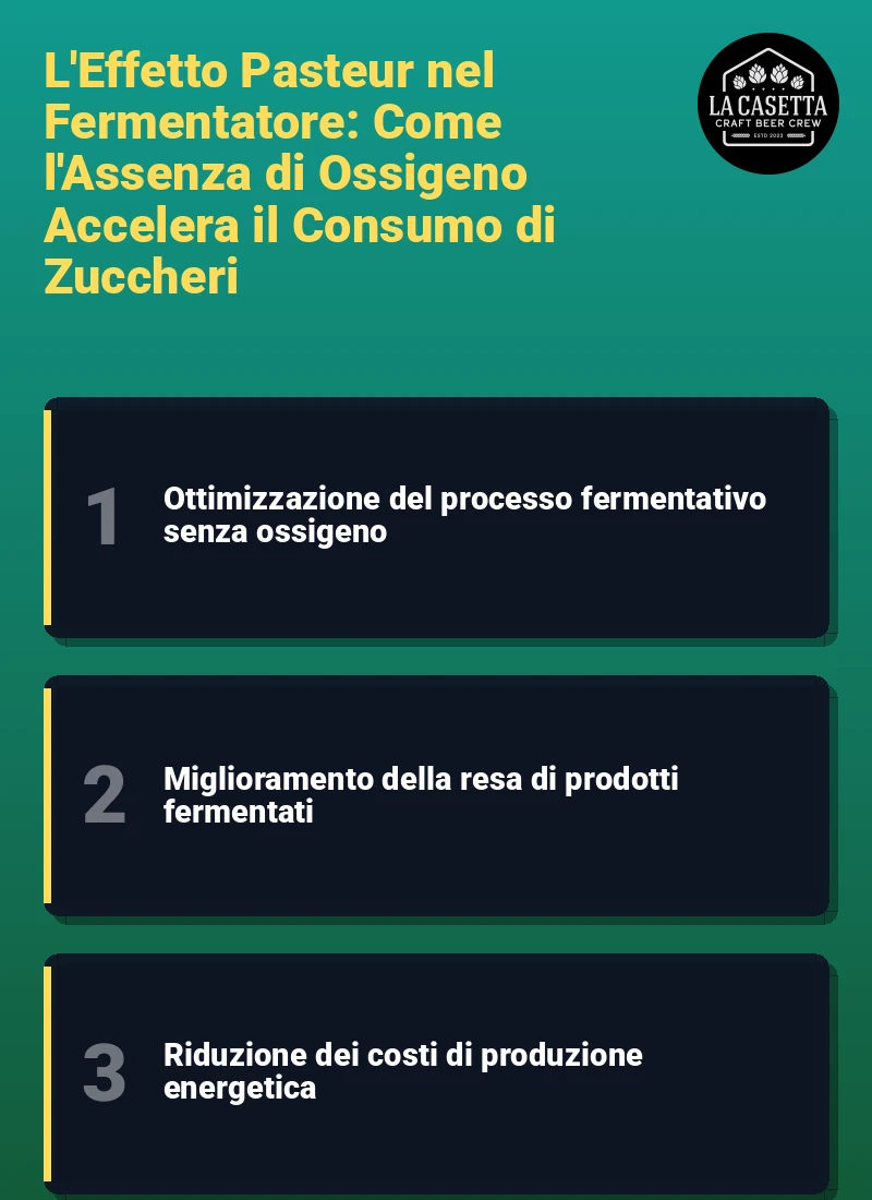 Infografica: L'Effetto Pasteur nel Fermentatore: Come l'Assenza di Ossigeno Accelera il Consumo di Zuccheri