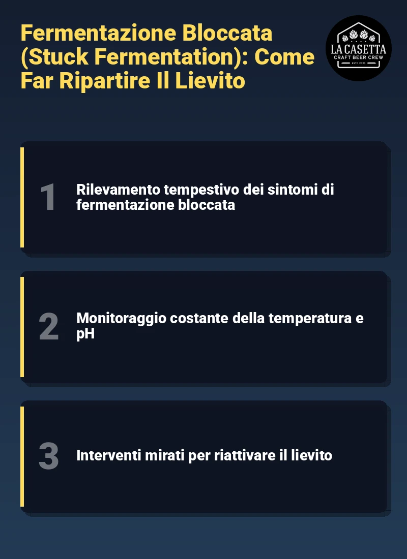 Infografica: Fermentazione Bloccata (Stuck Fermentation): Come Far Ripartire Il Lievito