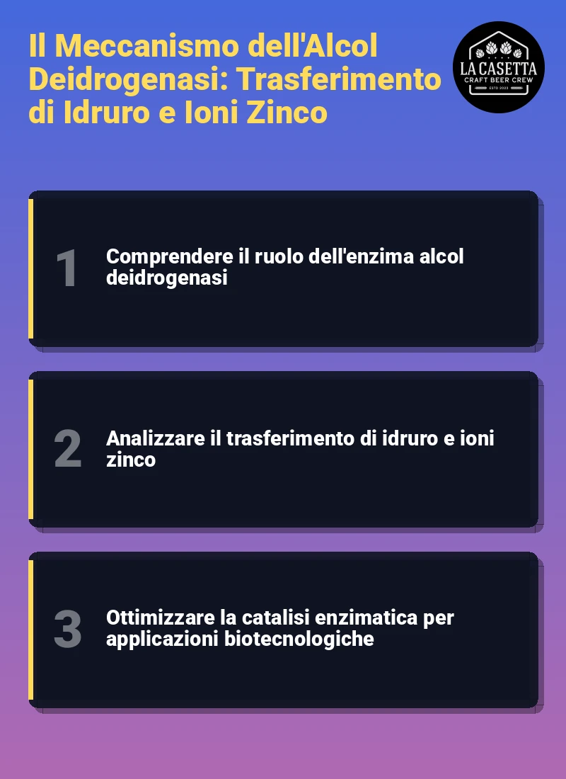 Infografica: Il Meccanismo dell'Alcol Deidrogenasi: Trasferimento di Idruro e Ioni Zinco