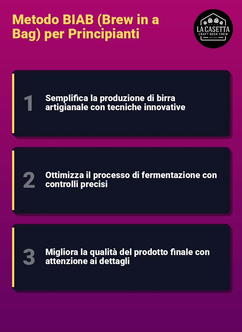 Infografica: Metodo BIAB (Brew in a Bag) per Principianti