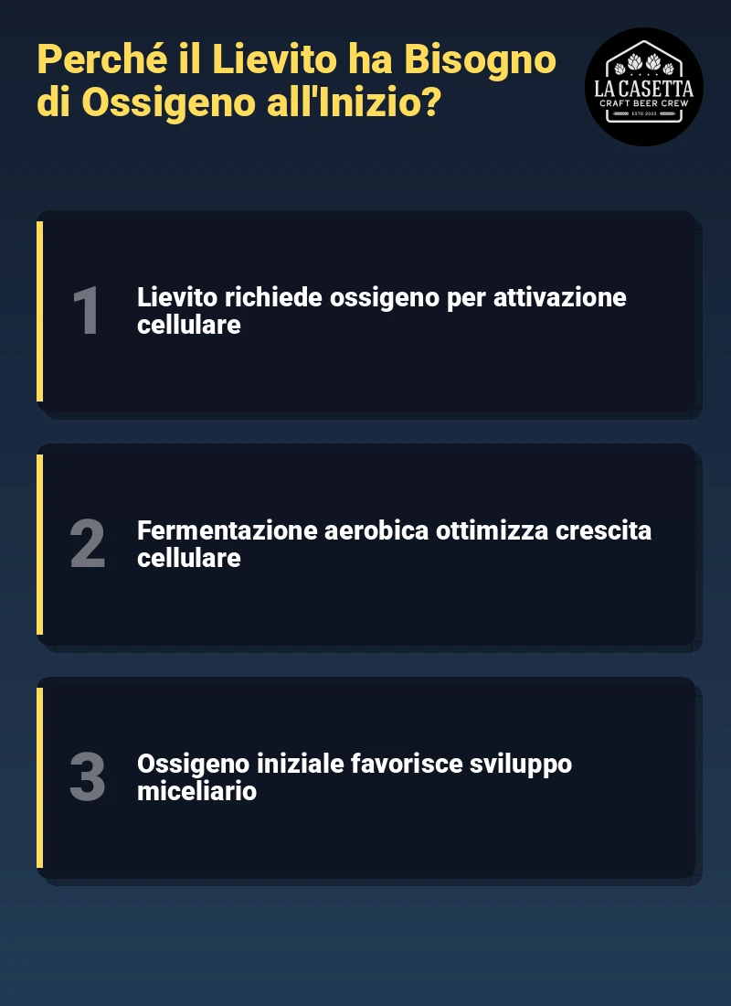 Infografica: Perché il Lievito ha Bisogno di Ossigeno all'Inizio?