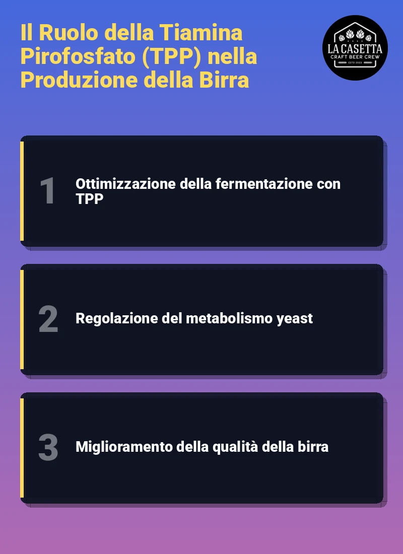 Infografica: Il Ruolo della Tiamina Pirofosfato (TPP) nella Produzione della Birra