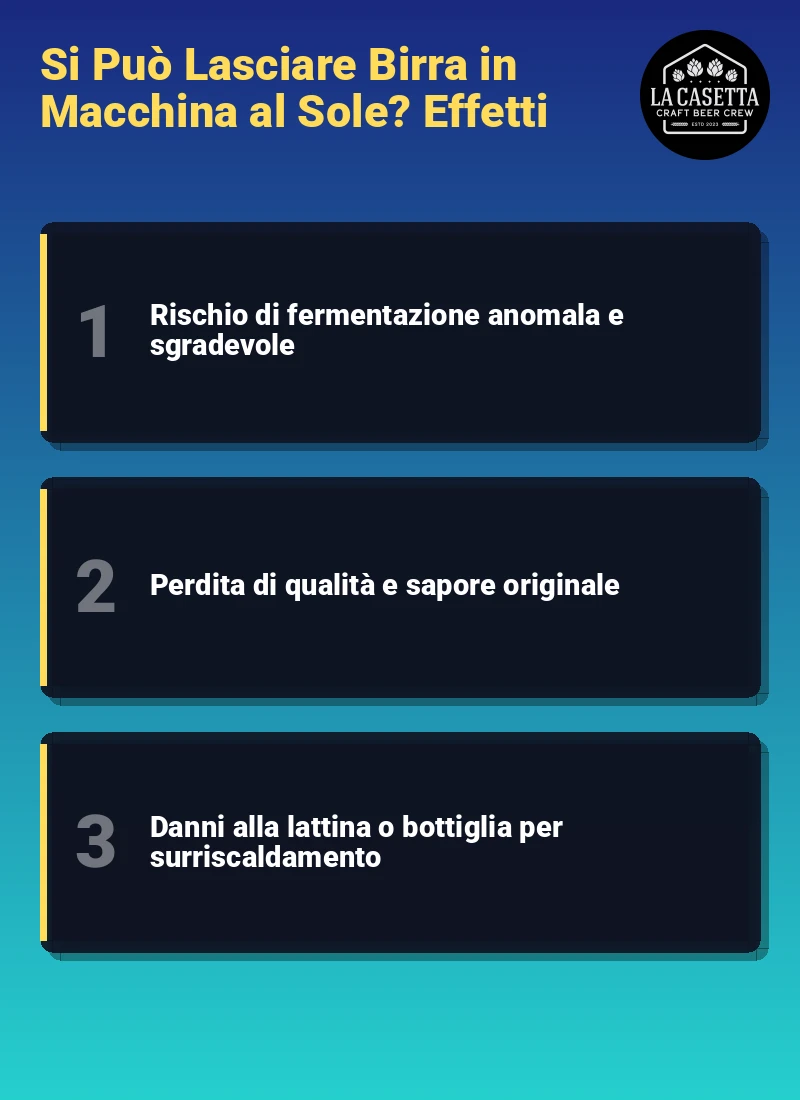 Infografica: Si Può Lasciare Birra in Macchina al Sole? Effetti